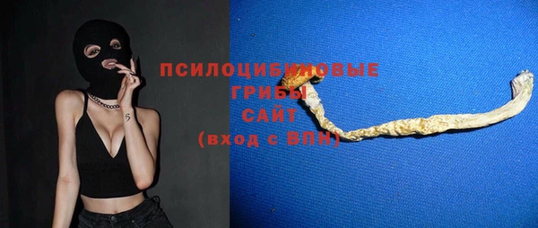 экстази Покачи
